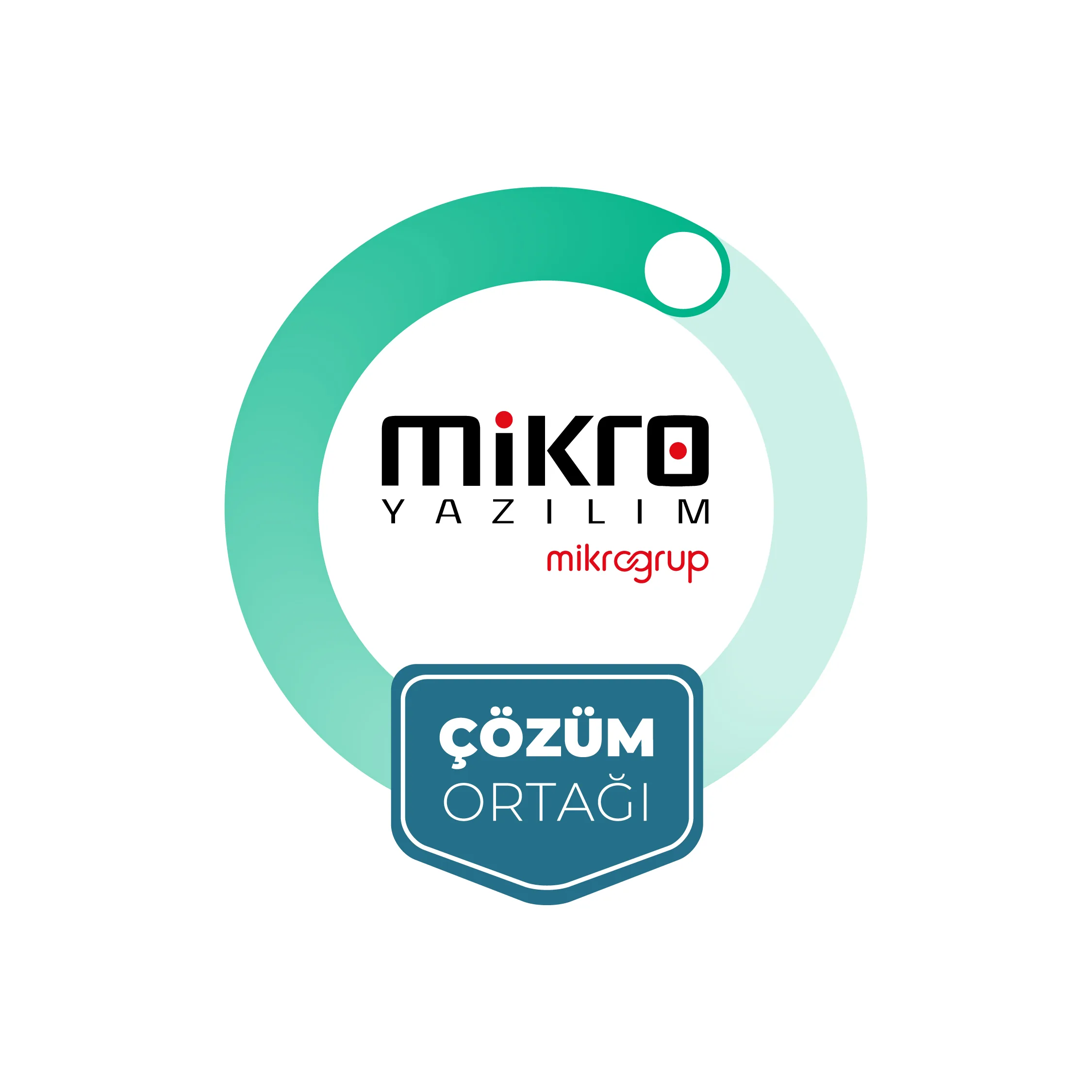 Mikro Yazılım Çözüm Ortağı